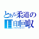 とある柔道の目印回収（フラグリカバリー）