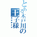 とある木戸川の王子様（貴志部大河）