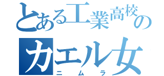 とある工業高校のカエル女教師（ニムラ）