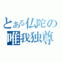 とある仏陀の唯我独尊（）