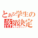 とある学生の落第決定（レベルダウン）