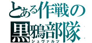 とある作戦の黒鴉部隊（シュヴァルツ）