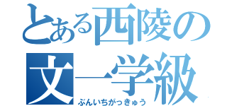 とある西陵の文一学級（ぶんいちがっきゅう）