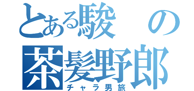 とある駿の茶髪野郎（チャラ男旅）