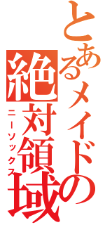 とあるメイドの絶対領域（ニーソックス）