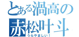 とある渦高の赤松叶斗（うらやましい！）