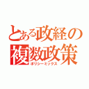 とある政経の複数政策（ポリシーミックス）