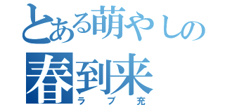 とある萌やしの春到来（ラブ充）