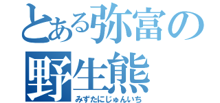 とある弥富の野生熊（みずたにじゅんいち）