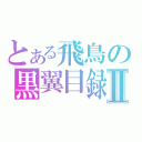 とある飛鳥の黒翼目録Ⅱ（）