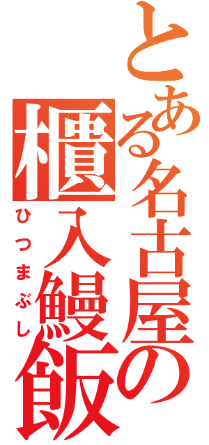 とある名古屋の櫃入鰻飯（ひつまぶし）