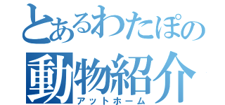 とあるわたぽの動物紹介（アットホーム）