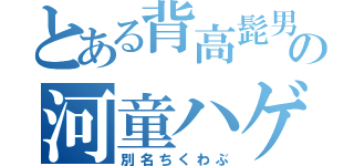 とある背高髭男の河童ハゲ（別名ちくわぶ）