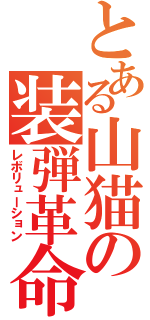 とある山猫の装弾革命（レボリューション）