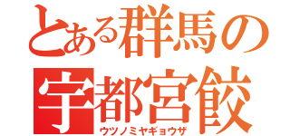 とある群馬の宇都宮餃子（ウツノミヤギョウザ）