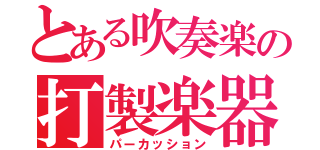 とある吹奏楽の打製楽器（パーカッション）