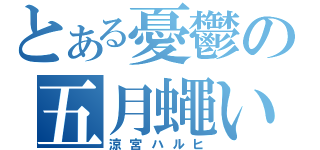 とある憂鬱の五月蠅い神（涼宮ハルヒ）