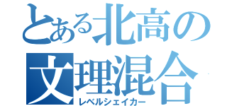 とある北高の文理混合（レベルシェイカー）