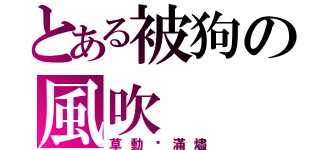 とある被狗の風吹（草動錑滿燼）