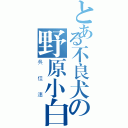 とある不良犬の野原小白（吳佳潓）