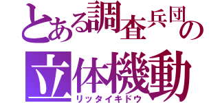 とある調査兵団の立体機動（リッタイキドウ）