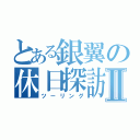 とある銀翼の休日探訪Ⅱ（ツーリング）