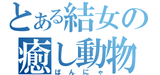 とある結女の癒し動物（ぱんにゃ）