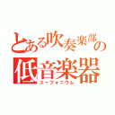 とある吹奏楽部の低音楽器（ユーフォニウム）