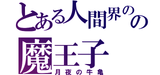 とある人間界のの魔王子（月夜の牛亀）