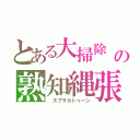 とある大掃除　の熟知縄張（　スプラカトゥーン）