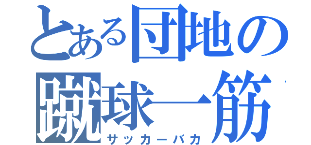 とある団地の蹴球一筋（サッカーバカ）