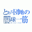 とある団地の蹴球一筋（サッカーバカ）