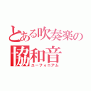 とある吹奏楽の協和音（ユーフォニアム）