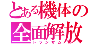 とある機体の全面解放（トランザム）