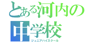 とある河内の中学校（ジュニアハイスクール）