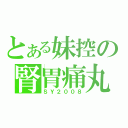 とある妹控の腎胃痛丸（ＳＹ２００８）