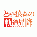 とある狼森の軌道昇降（スカイフック）