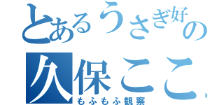 とあるうさぎ好きの久保こころ（もふもふ観察）