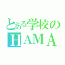 とある学校のＨＡＭＡ（）