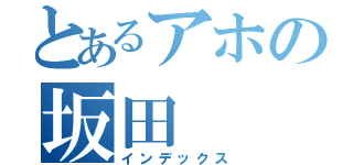 とあるアホの坂田（インデックス）