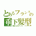 とあるフランスの垂下髪型（沖縄にもあるアンテナ）