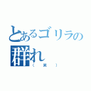 とあるゴリラの群れ（（笑））