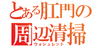 とある肛門の周辺清掃（ウォシュレット）