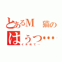 とあるＭ 猫のはぅっ…（イヂめて…）