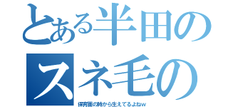 とある半田のスネ毛の数（保育園の時から生えてるよねｗ）