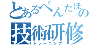 とあるぺんたほの技術研修（トレーニング）