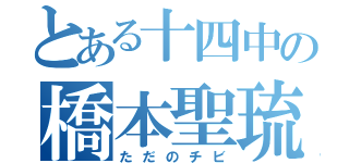 とある十四中の橋本聖琉（ただのチビ）