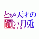 とある天才の飼い月兎（実験道具）