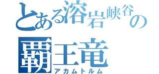 とある溶岩峡谷の覇王竜（アカムトルム）