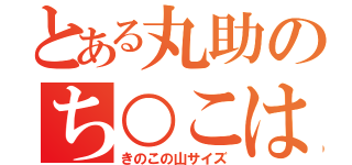 とある丸助のち○こは（きのこの山サイズ）